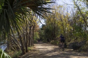 A cyclist bikes along the Ann and Roy Butler Hike-and-Bike Trail