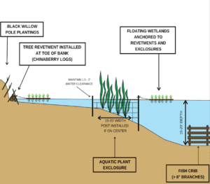 diagram showing Living Shoreline aquatic restoration project methods