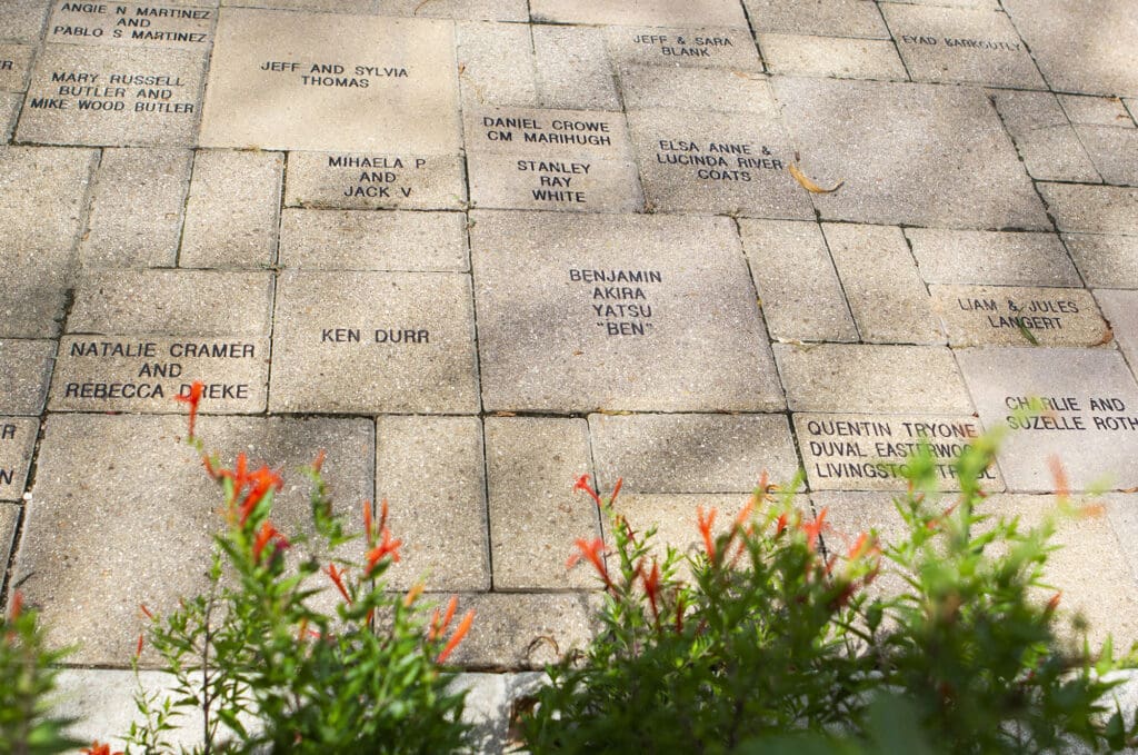 Brown engraved bricks with bright orange flowers on the bottom of the frame