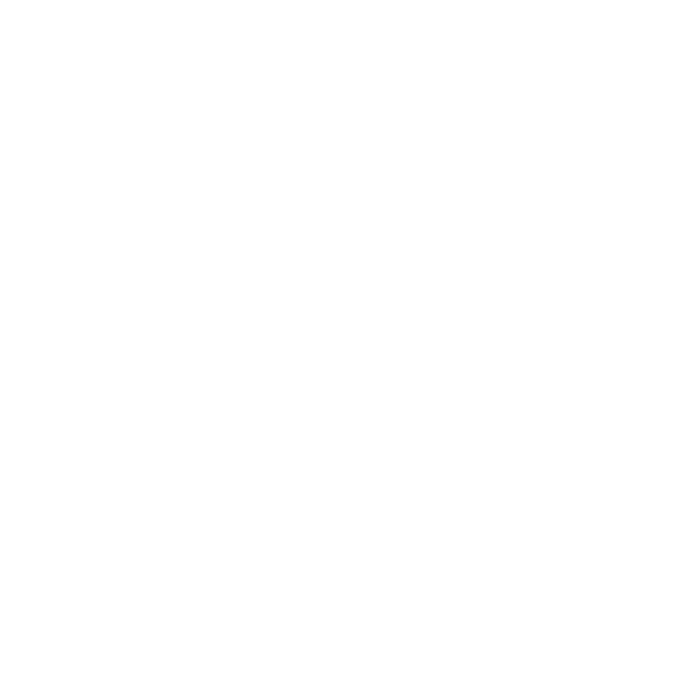 Haynes Boone