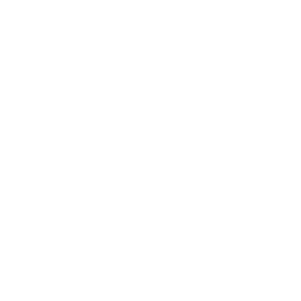 Aliya_ Petty Family Office