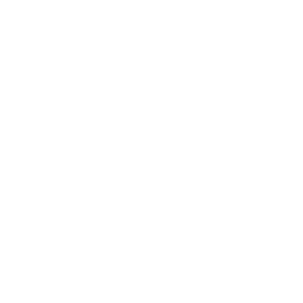 Haise Capital with Morgan Stanley