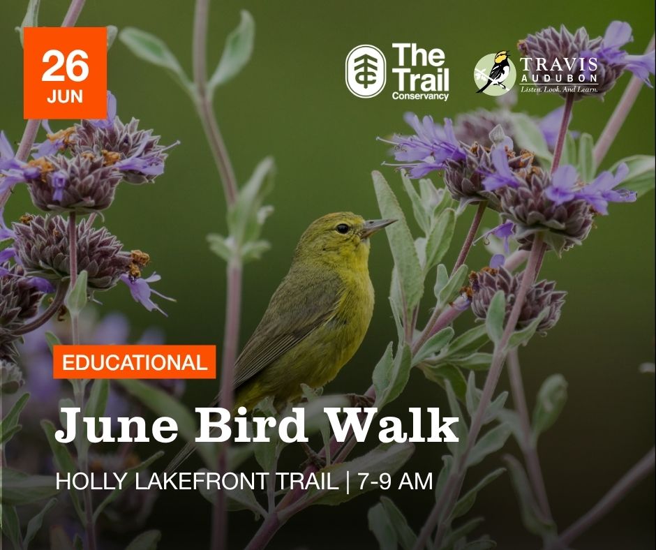 Bird Walk with Travis Audubon