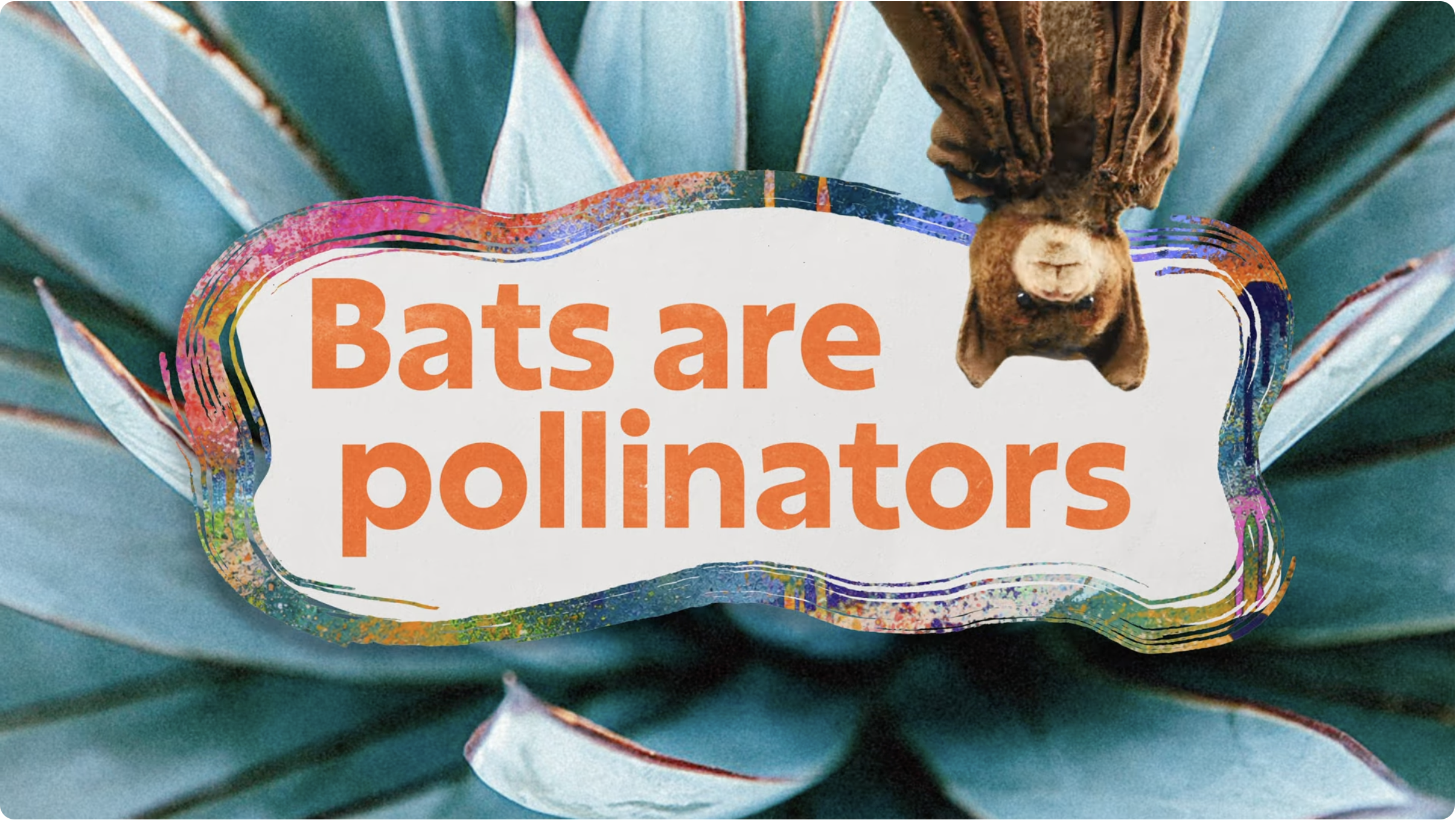 Bats are Pollinators