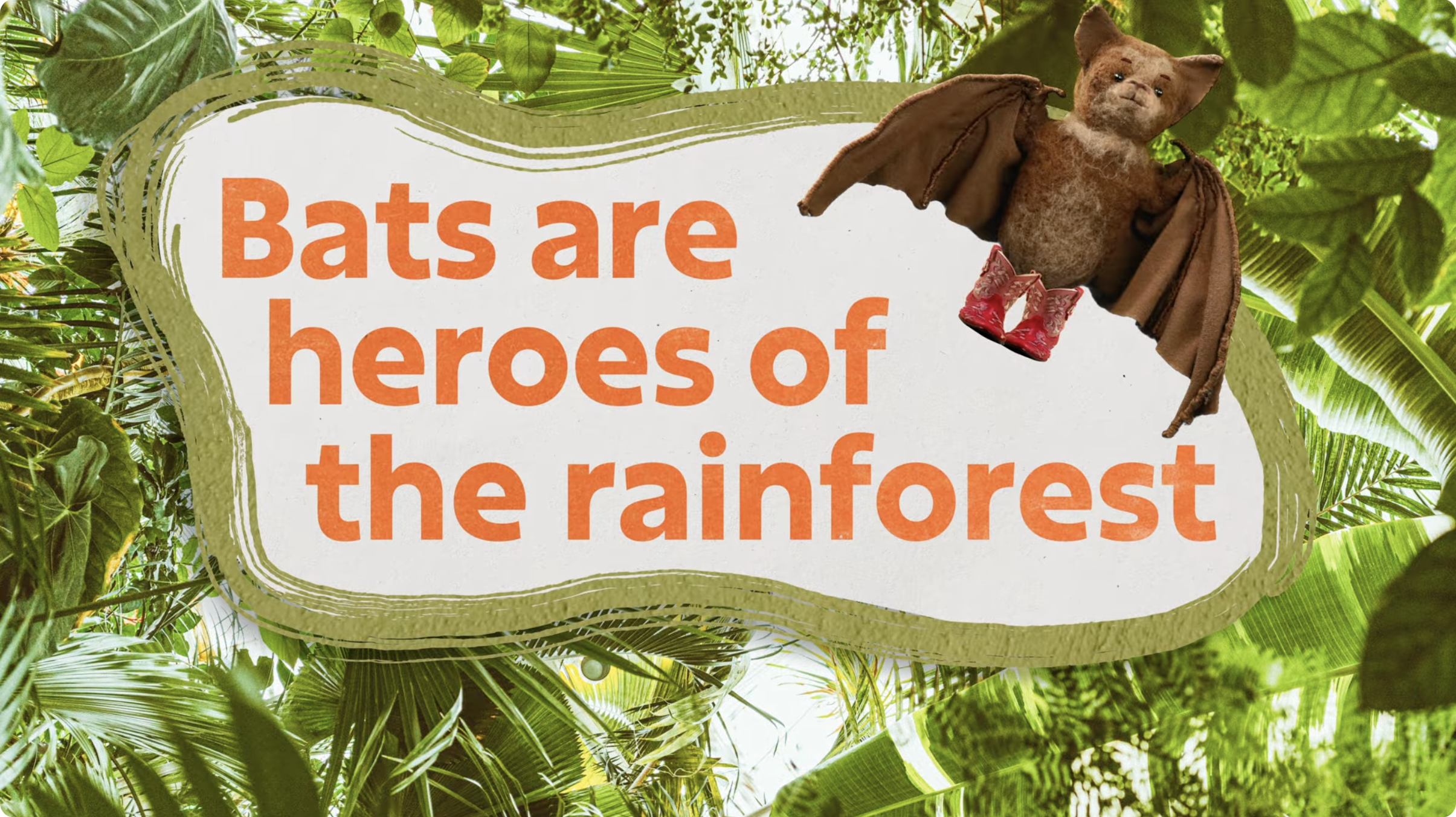 Bats are Heroes of the Rainforest