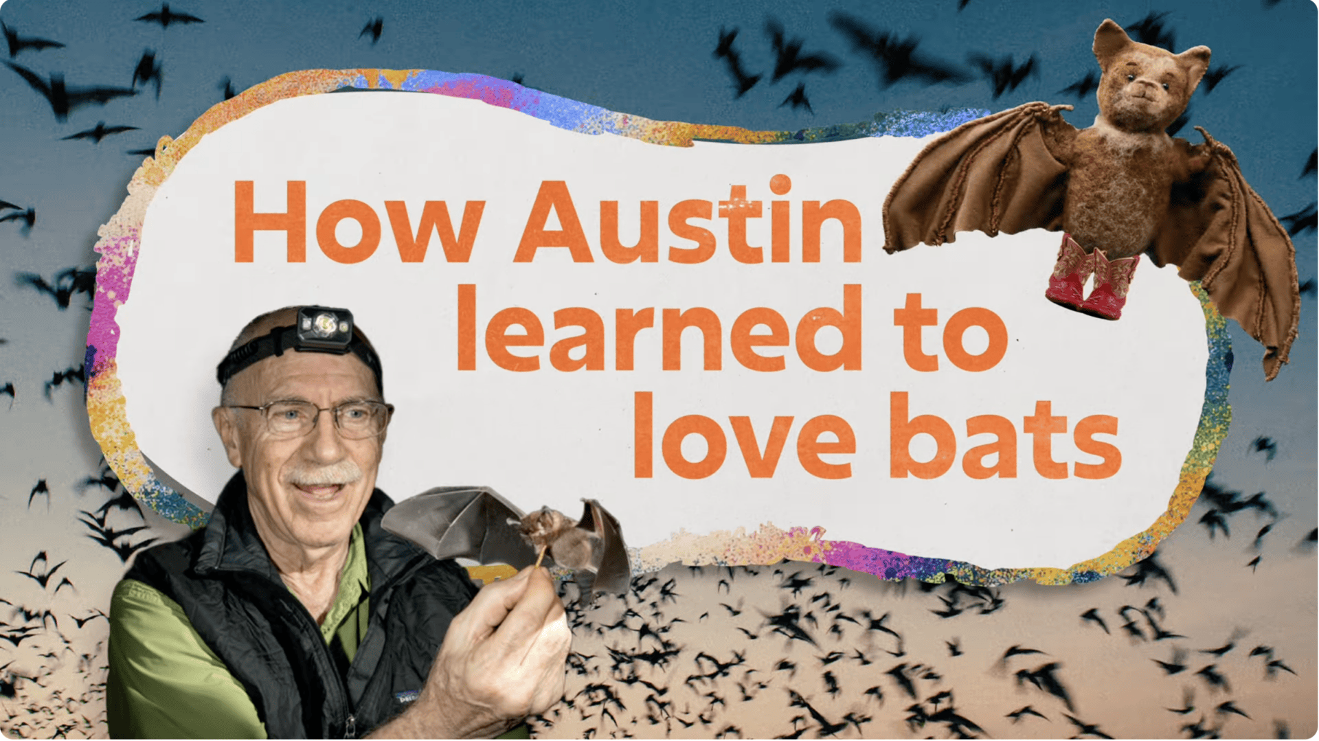 How Austin Learned to Love Bats