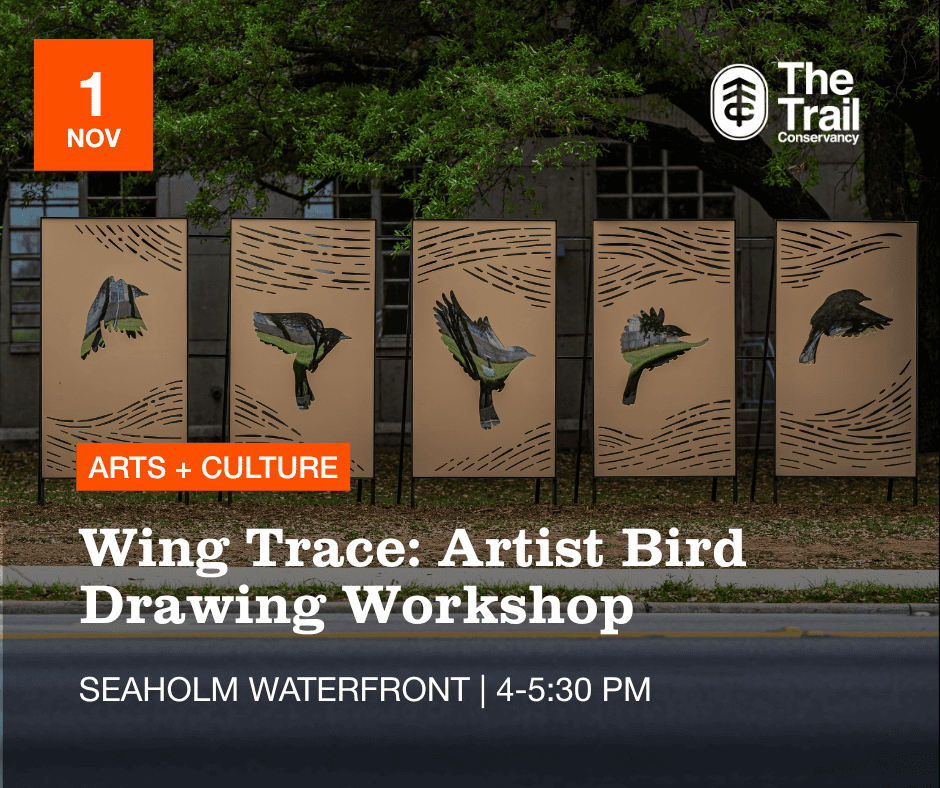 Wing Trace: Bird Drawing Workshop